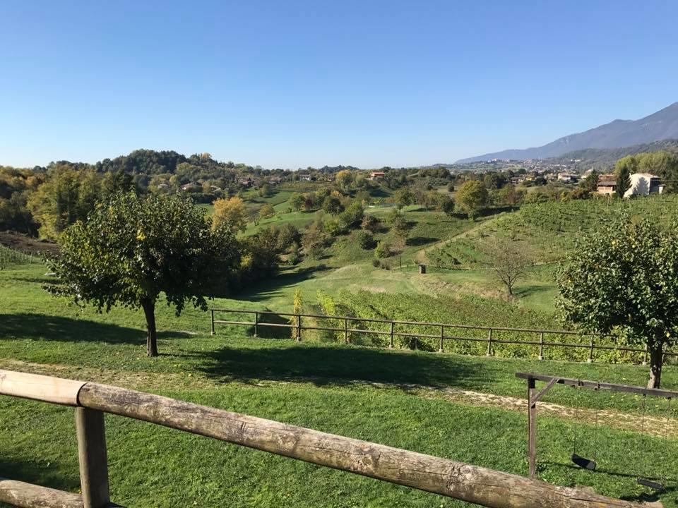 Agriturismo Al Capitello Villa Asolo Bagian luar foto