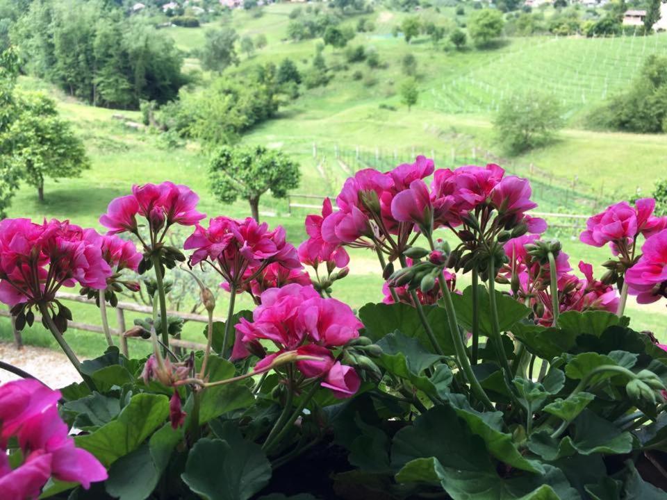 Agriturismo Al Capitello Villa Asolo Bagian luar foto