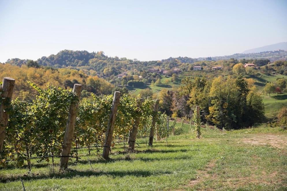 Agriturismo Al Capitello Villa Asolo Bagian luar foto